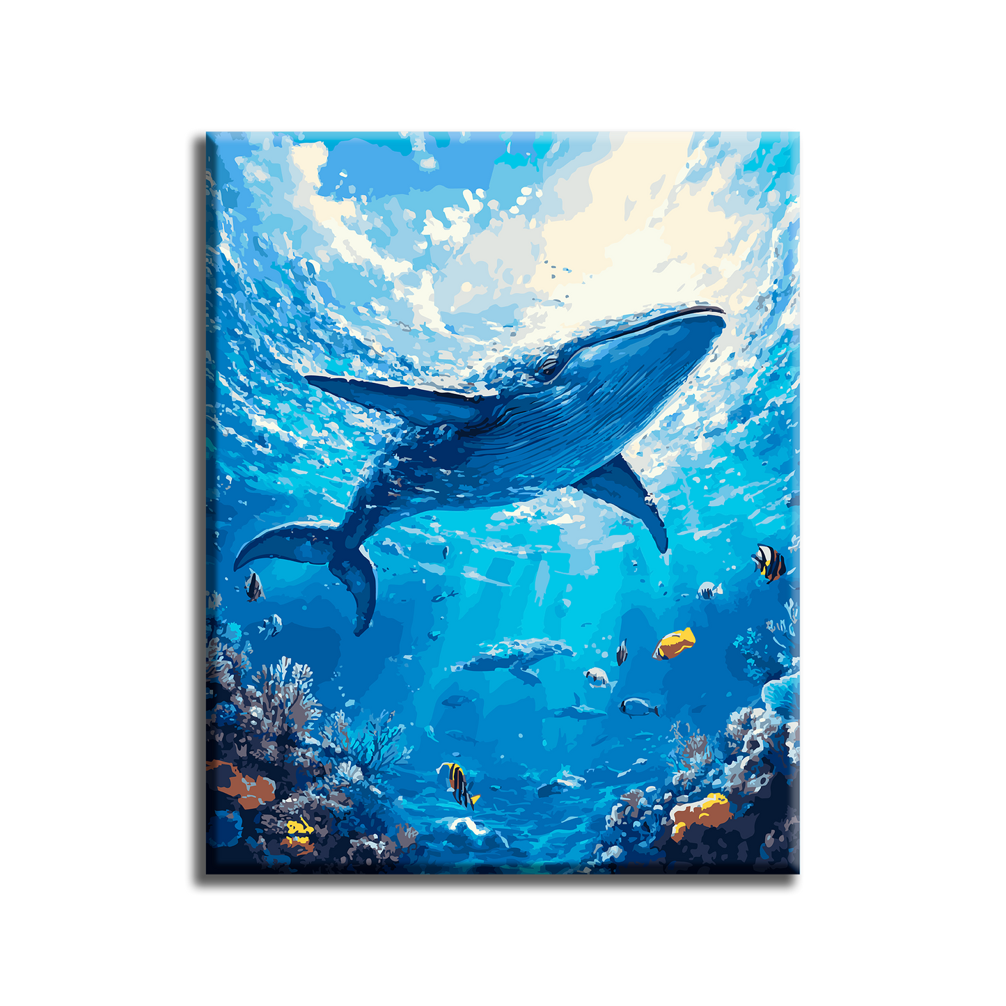 Blue Whale. Paint by numbers kit. Premium quality KitArt