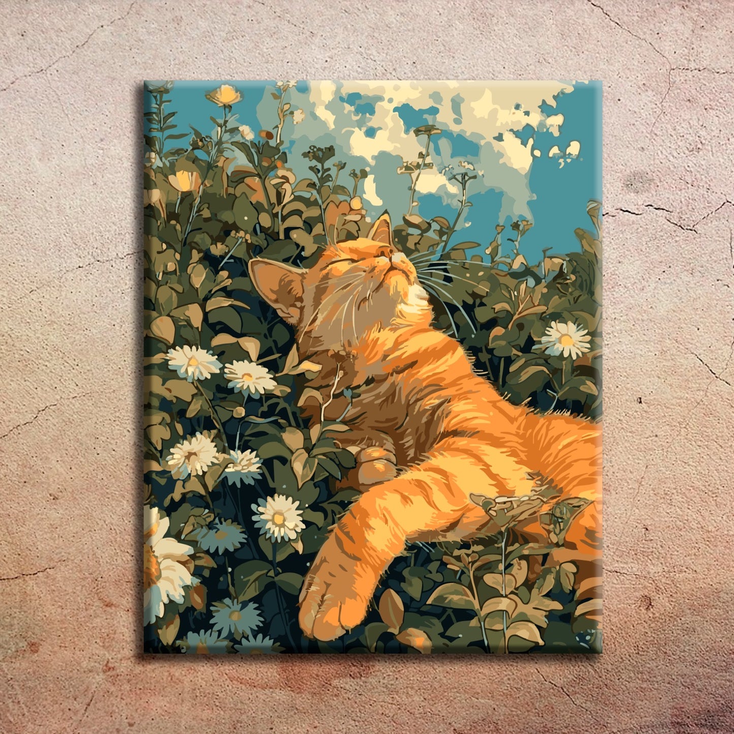 Cat Nap
