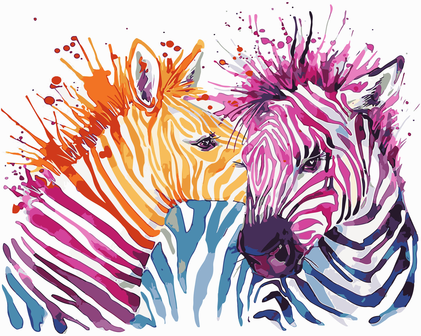 Colorful Zebras
