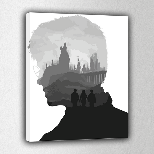 Gray Harry Potter. Paint by numbers kit. Premium quality KitArt