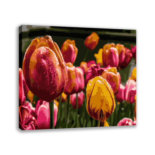 Tulips Garden